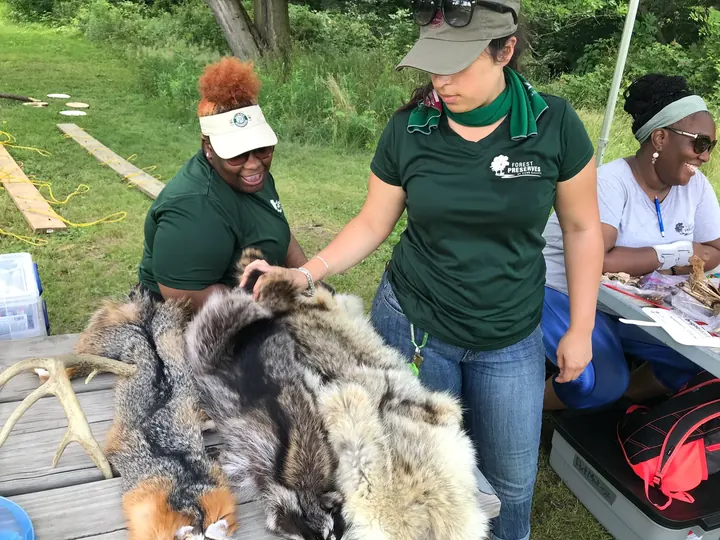 Forest preserve staff showing animal pelts to visitors.