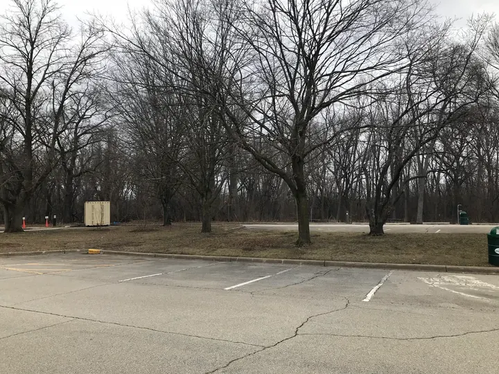 A parking lot at the edge of the woods.