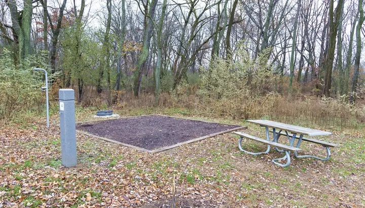 A wooded tent site with a picnic table at Camp Shabbona Woods.